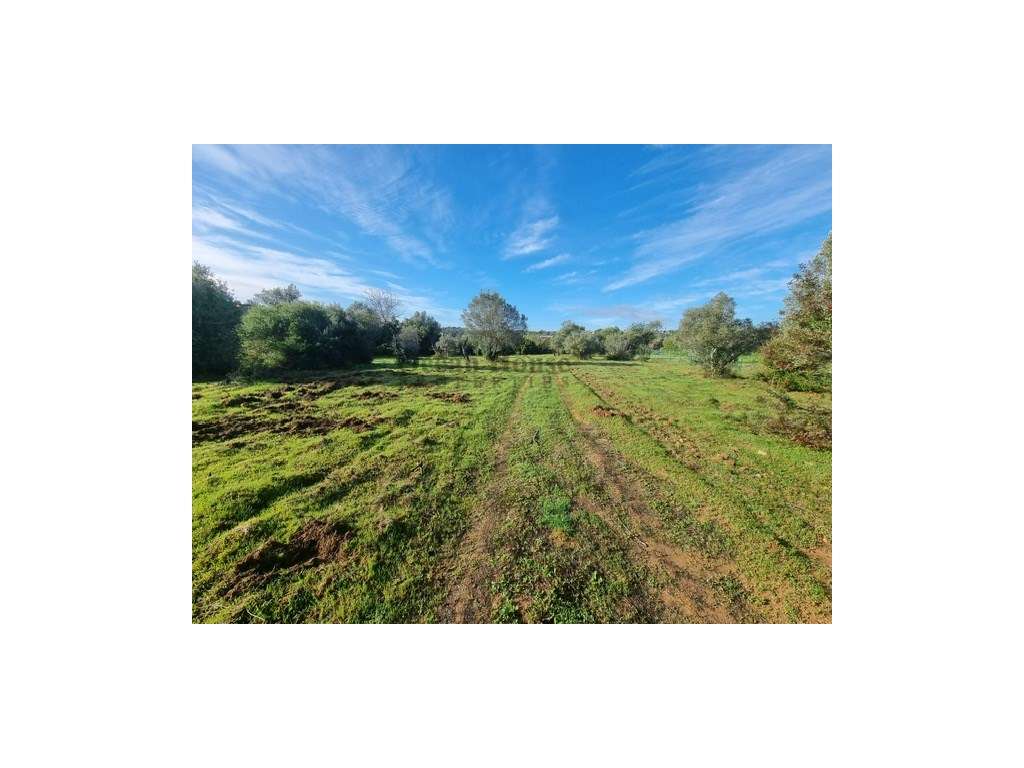 Terreno com projecto aprovado para moradia em Tôr - Loulé-8