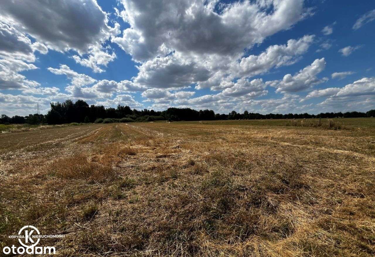 Na sprzedaż działka budowlana w Zamienicach-3