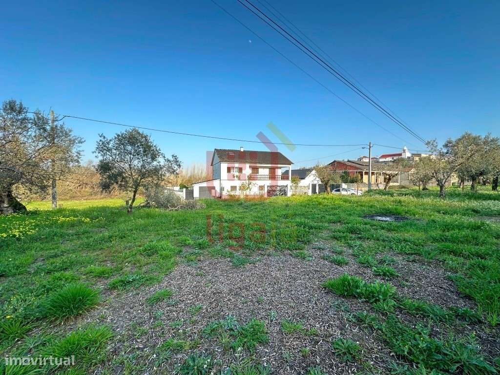 Com viabilidade de construção - Caxarias! - Grande imagem: 5/8