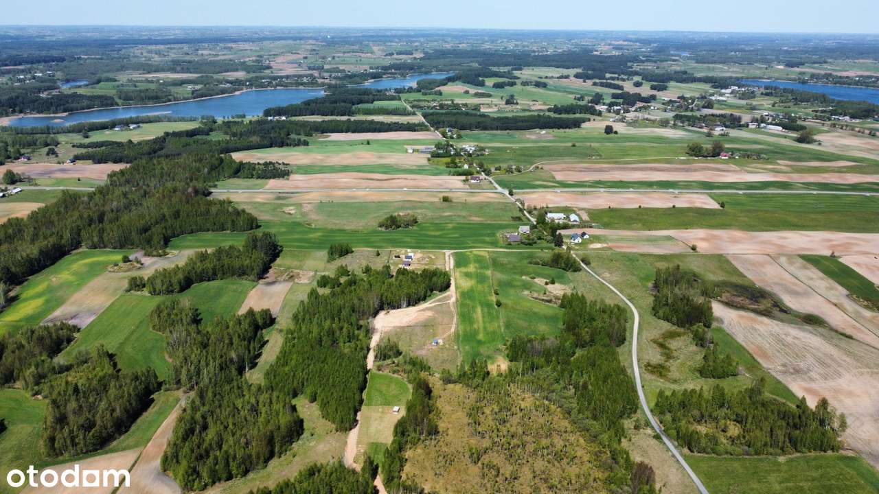Krasnopl - działki koło lasu - Pełny obrazek: 5/14