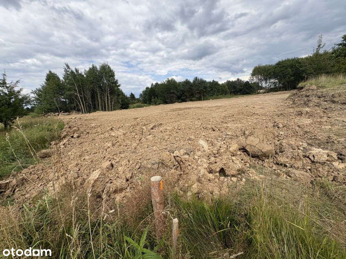 Tu może stanąć Twój dom! otulina lasu, Wz, wodocią - Pełny obrazek: 4/7