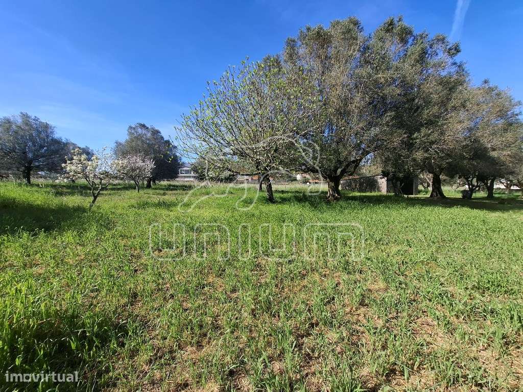 Terreno em Fontão - Ponte de Lima - Grande imagem: 5/7