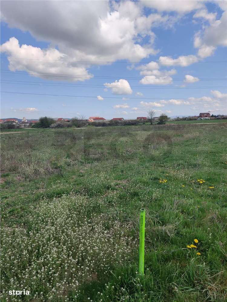 RECO . TEREN INTRAVILAN SANMARTIN - Imagine principală: 5/5