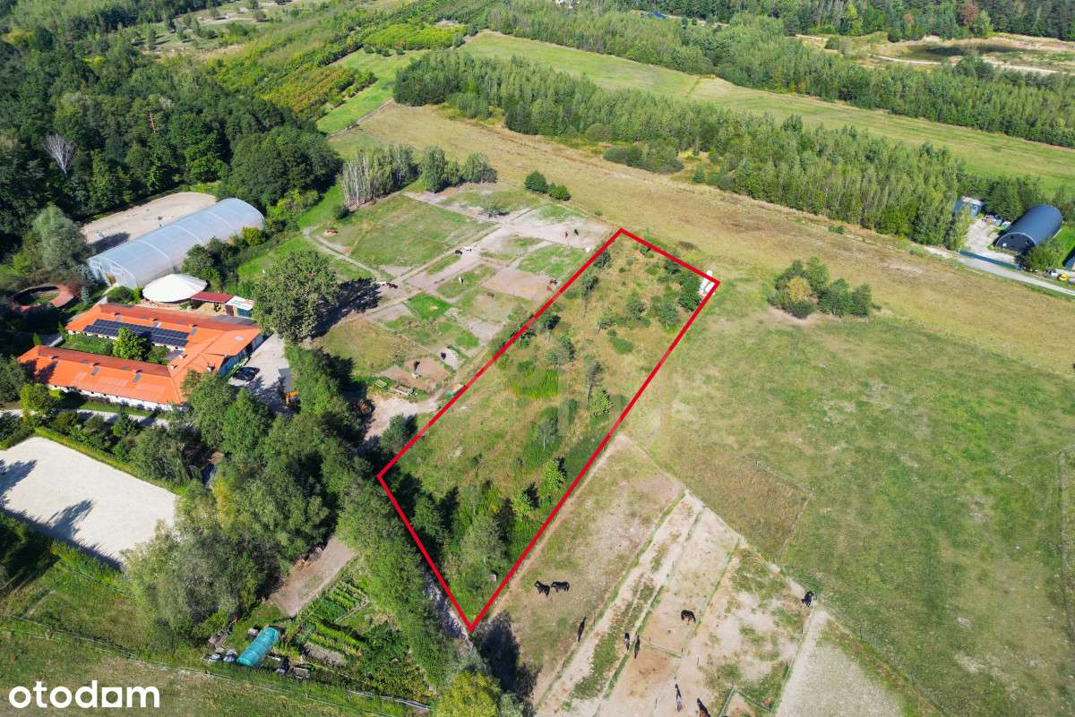 Działka Budowlana/Tarczyn/MPZP - Pełny obrazek: 4/13