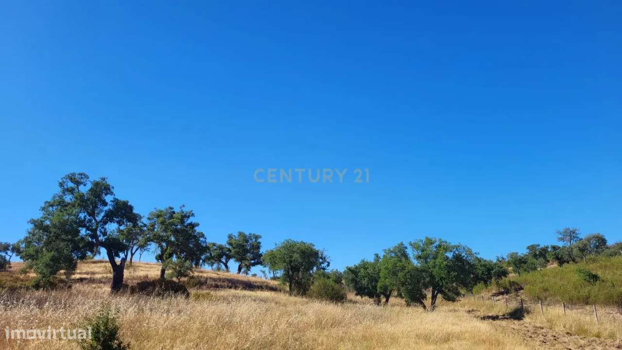 Monte Alentejano - viabilidade 6.000m2 p/ HOTEL RURAL ou 429m2 de HABI - Grande imagem: 3/11