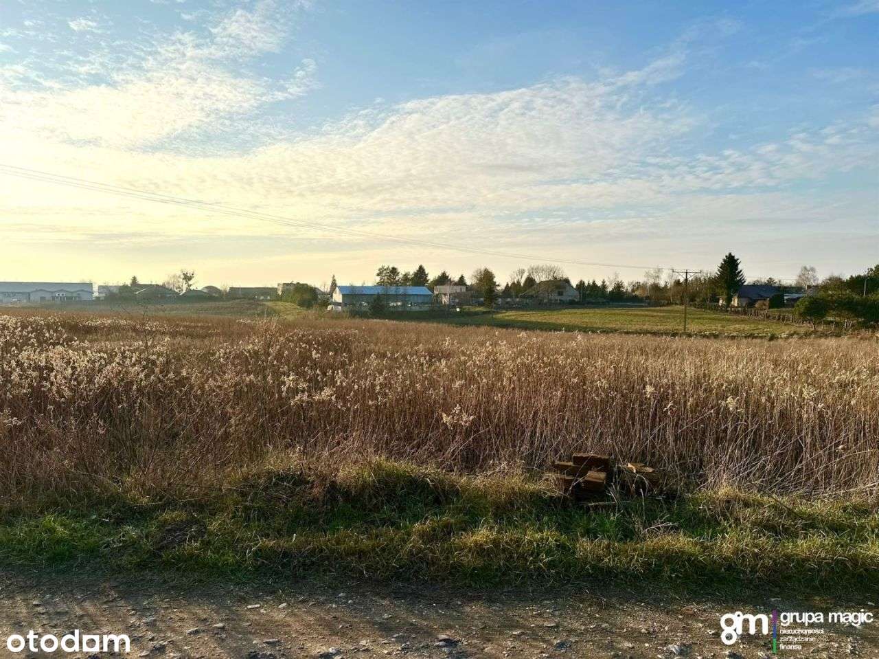 Grunty- Łubianka - Pełny obrazek: 5/8