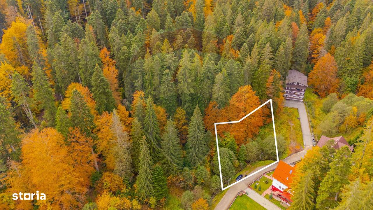 Comision 0 | Teren intravilan de vânzare – Predeal, Brașov 908 mp - Imagine principală: 5/9