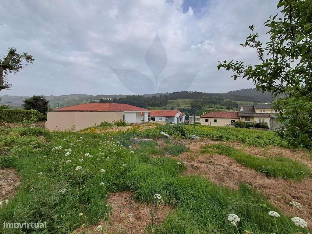 Terreno p/construção Ribeira do Neiva - VILA VERDE-9