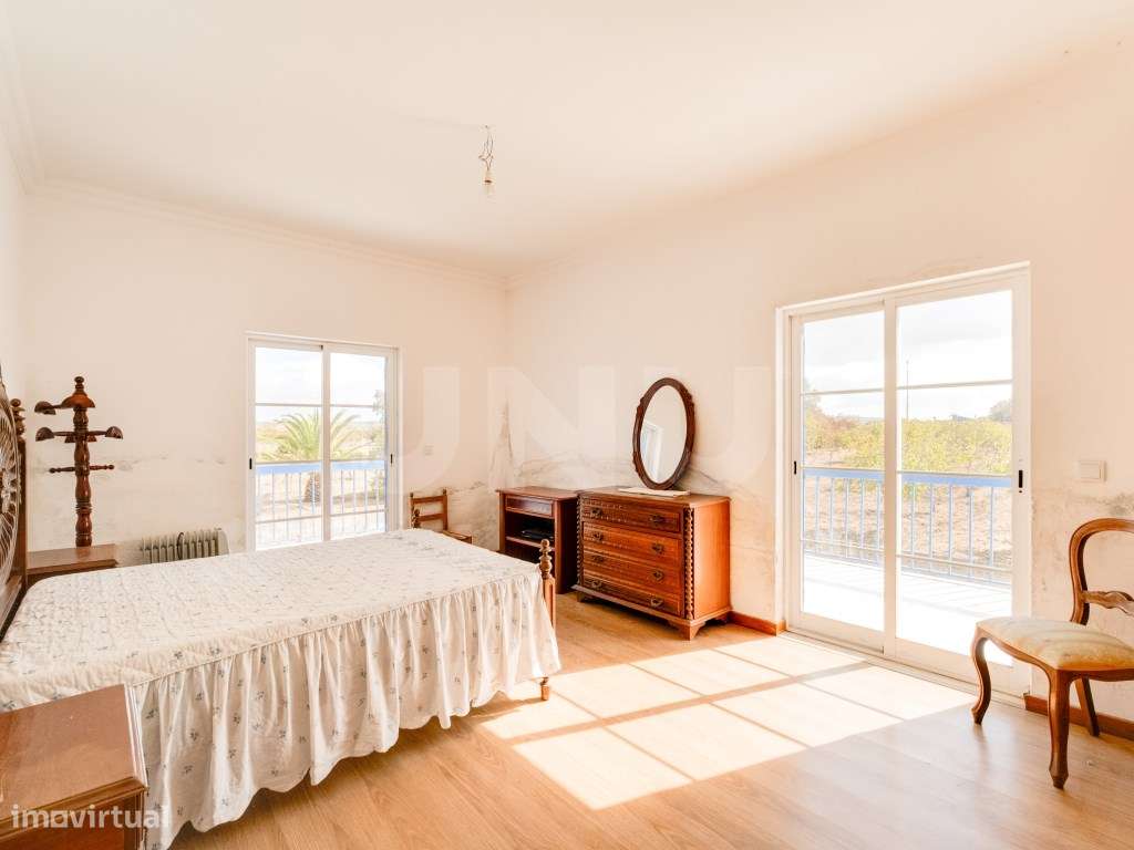 Quinta com 4,8 hectares e casa T9 em Vila Nova da Baronia-35