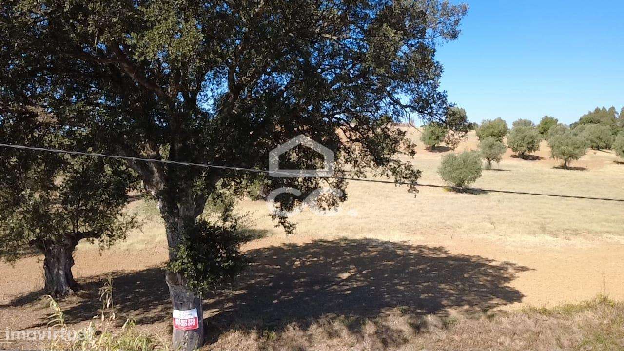 Terreno Rústico com 25.240 m² em Ferras, Gavata, Torres Novas – RAN-45