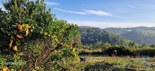 Terreno em Mafra de 5857,00 m2 - Grande imagem: 4/26