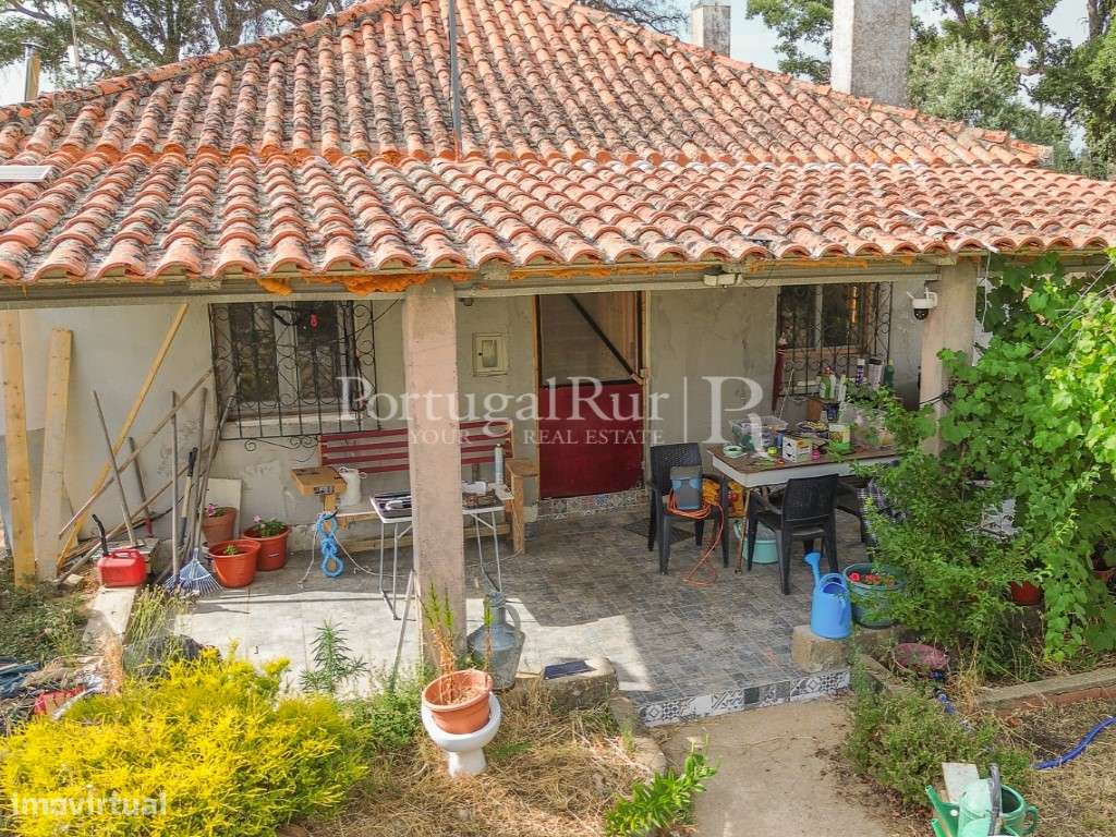 Quintinha de 1.8 hectares em Medelim-5