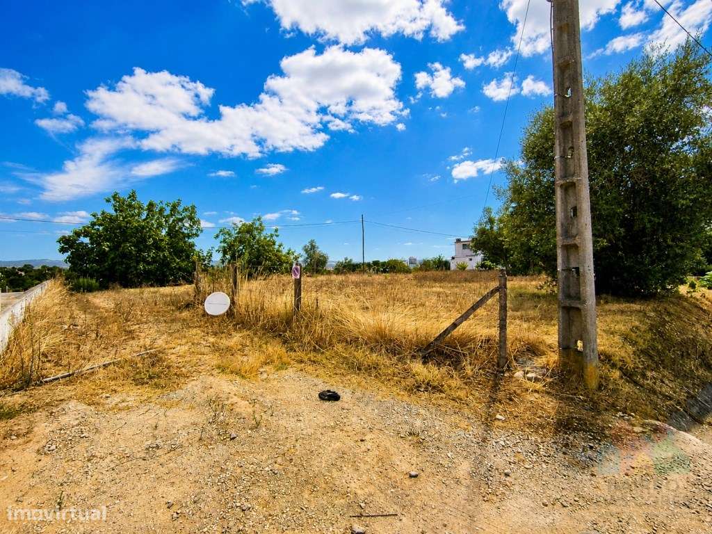 Terreno urbanizável a 5 minutos de Tomar-7