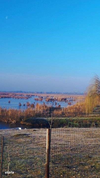 Vand teren intravilan 4000MP cu  dechidere la Delta Neajlovului, Coman - Imagine principală: 5/11