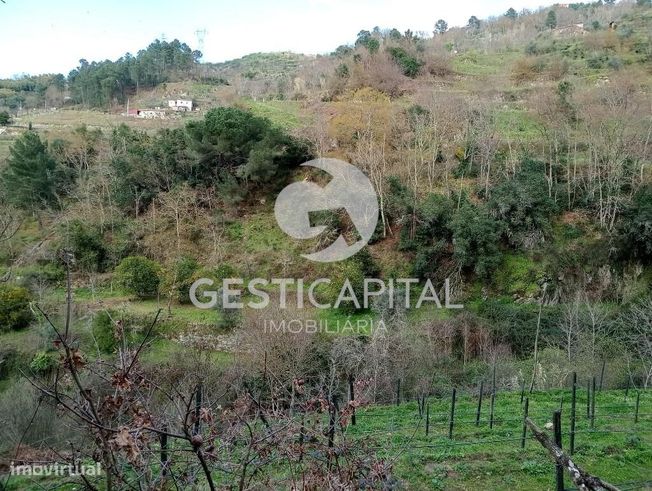 Oportunidade Única: Quinta para Habitação, Turismo ou Agricultura em M-39