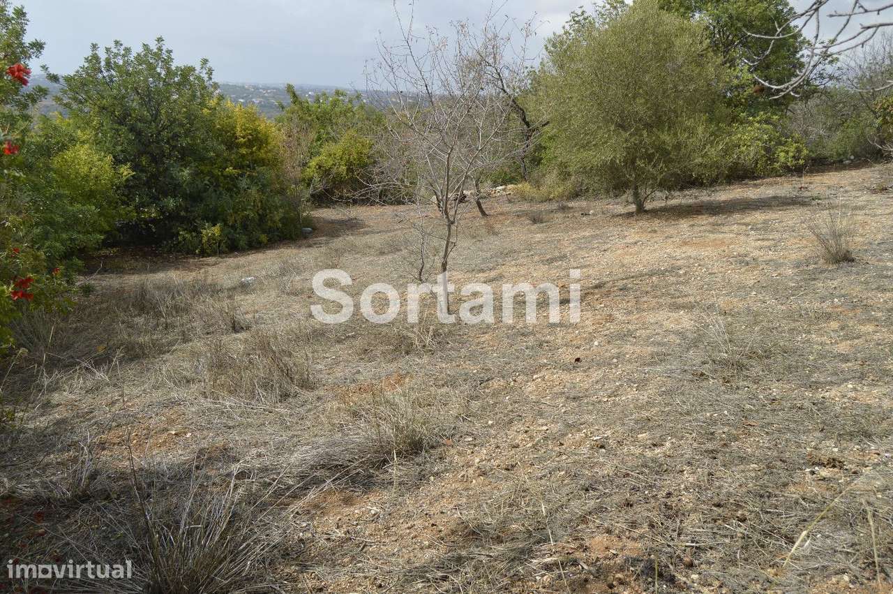 Terreno Para Construção  Venda em Boliqueime,Loulé - Grande imagem: 5/8