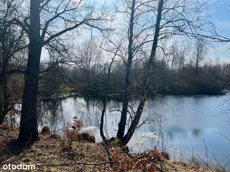 Działka rolna 11 ha-siedlisko, inwestycja, OZE-6