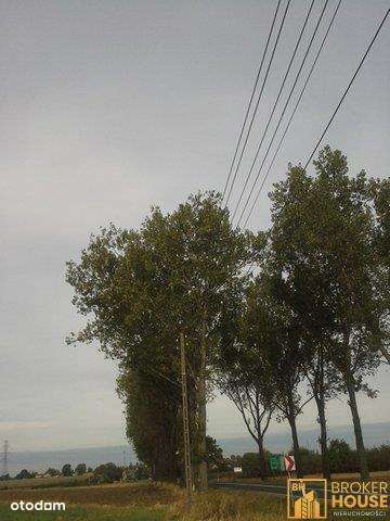 DZIAŁKA INWESTYCYJNA-5