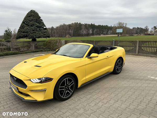 Ford Mustang - 19