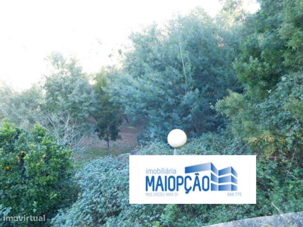 Terreno Urbano - Grande imagem: 3/15