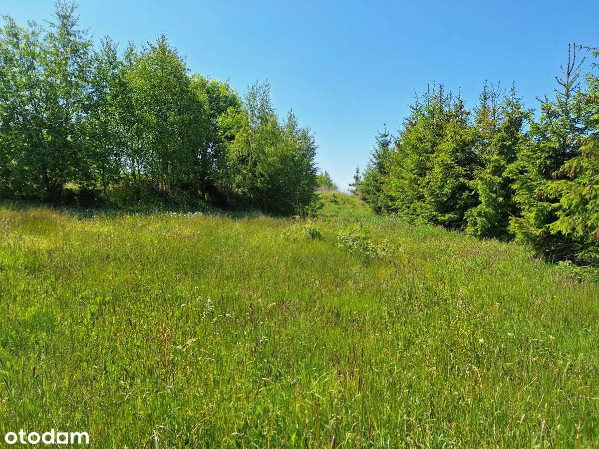 Działka budowlana w zaciszu Małkowa - Pełny obrazek: 4/10