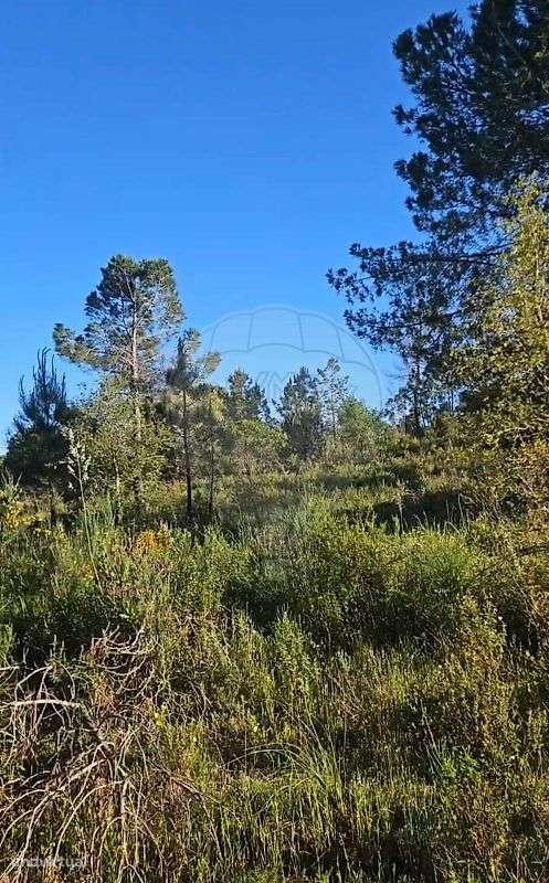 Terreno  para venda-6