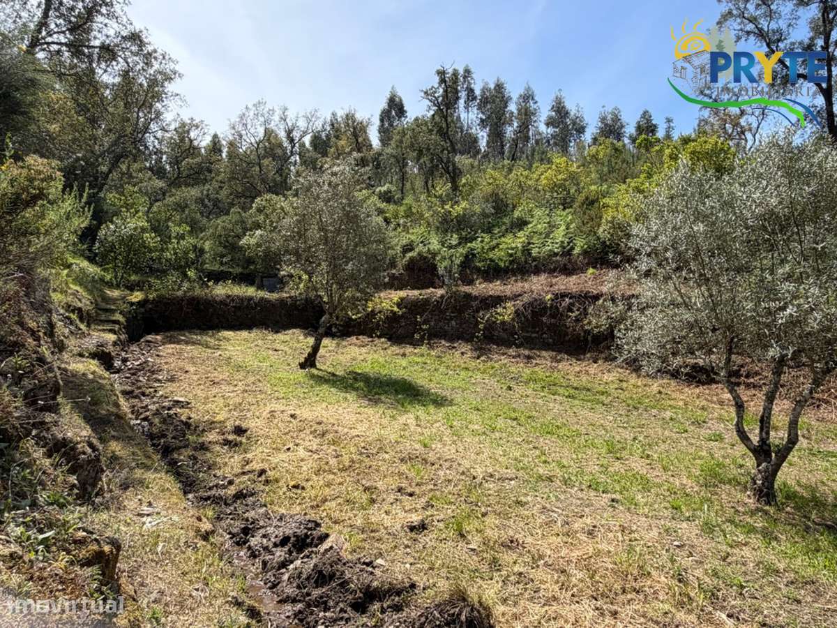 Terreno com uma ruína não registada a 6 quilómetros da Sertã-14