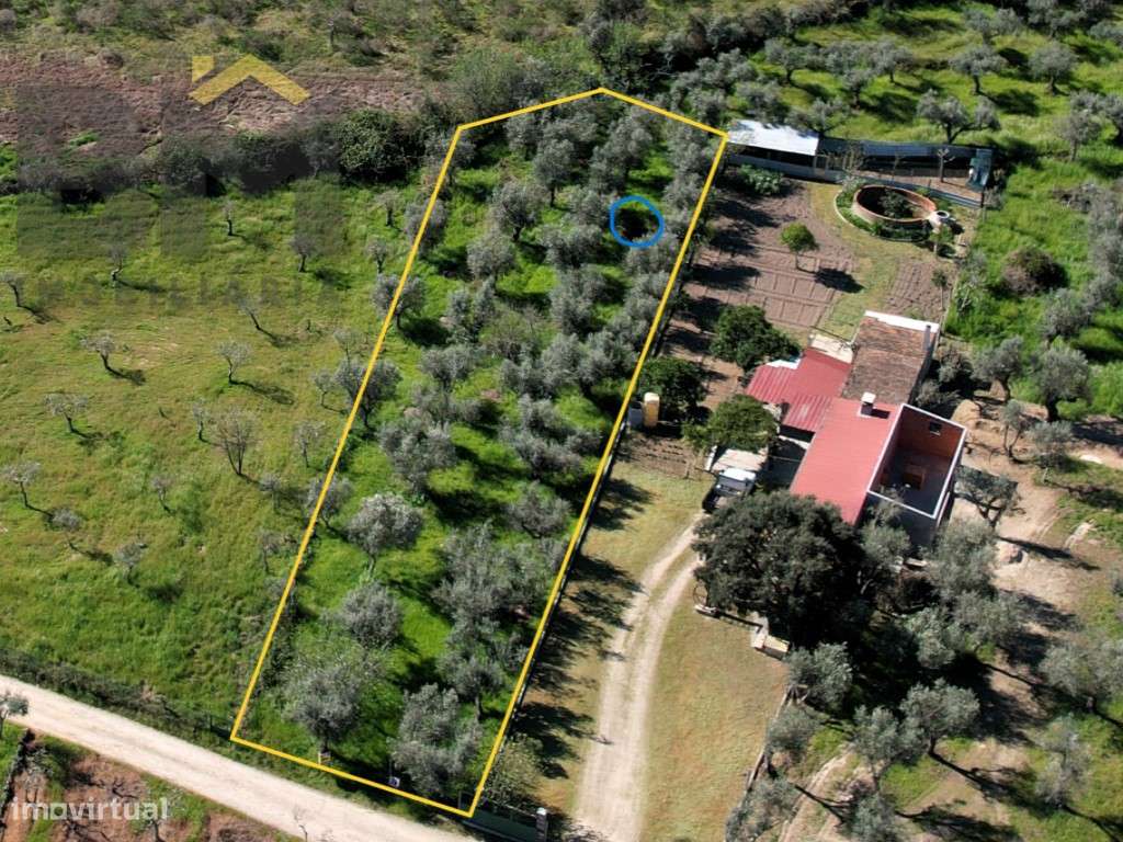 Quintinha de Charme: O Retiro Perfeito a um Passo da Cidade - Grande imagem: 2/10