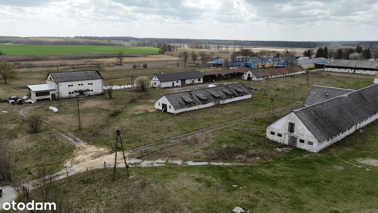Teren pod inwestycję: Ferma/hodowla, budynki 3400 m² + 12,74 ha Gruntu - Pełny obrazek: 2/8