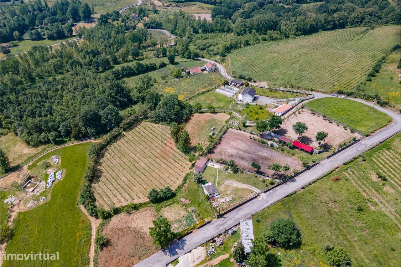 Terreno a 3 km do Centro de Fafe com Vinha e Nascente em Golães- Fafe! - Grande imagem: 4/10