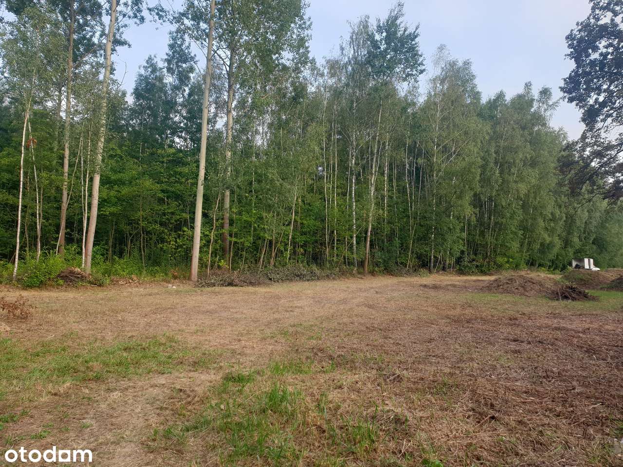 Otwock. Las, spokój, cisza. Wydane WZ. Wszystkie media. Nowe domy-11