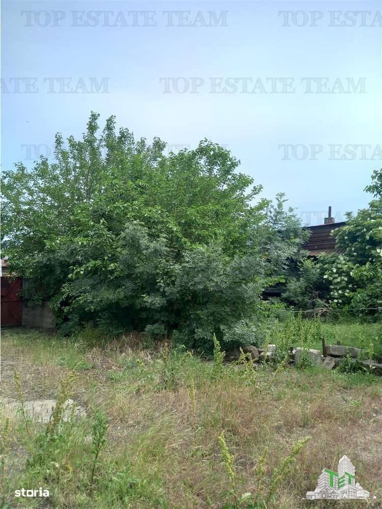 Teren 824 mp de vanzare in zona Andronache - Imagine principală: 4/6