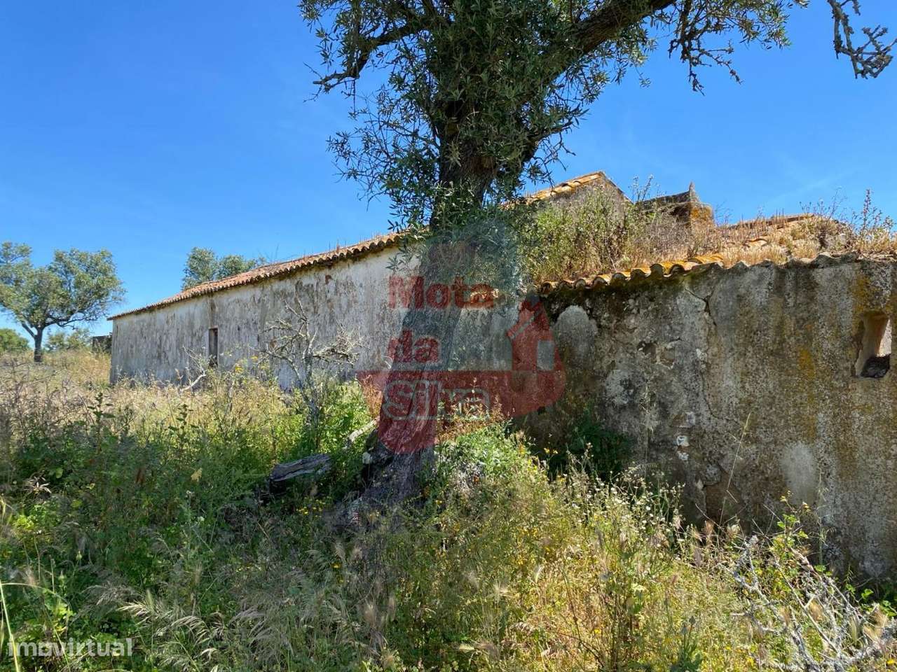 Quinta à venda em São Francisco da Serra - Grande imagem: 5/17