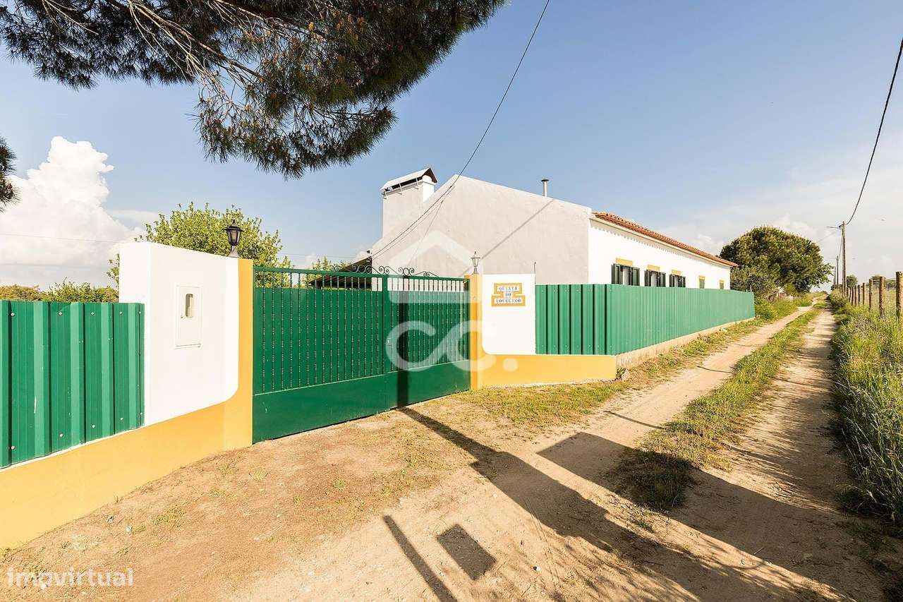 Quinta de 9250m2 c/ Moradia T4 térrea, anexo e armazém | Azaruja - Grande imagem: 5/60