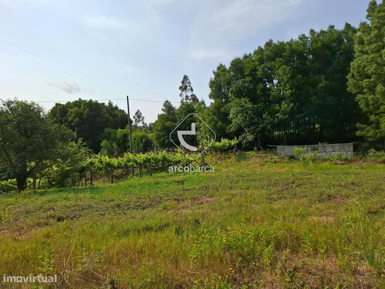 Quintinha ruinas p/restauro com 2520m2 - Moreira Lima - Ponte de Lima-17