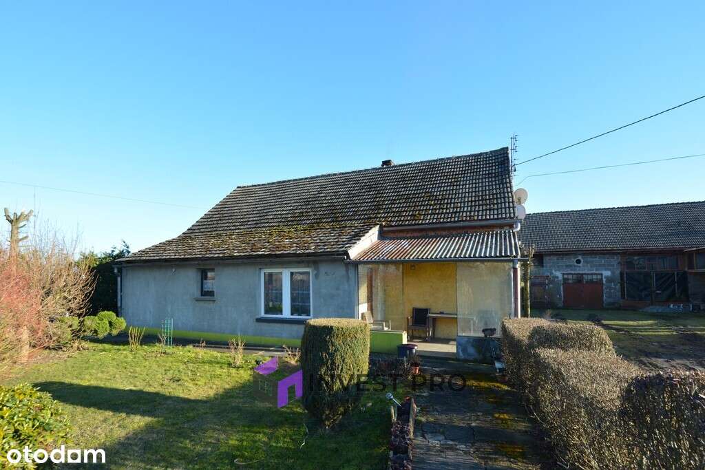 37 arów w Sarnowie - dom z cegły i duże zaplecze-3