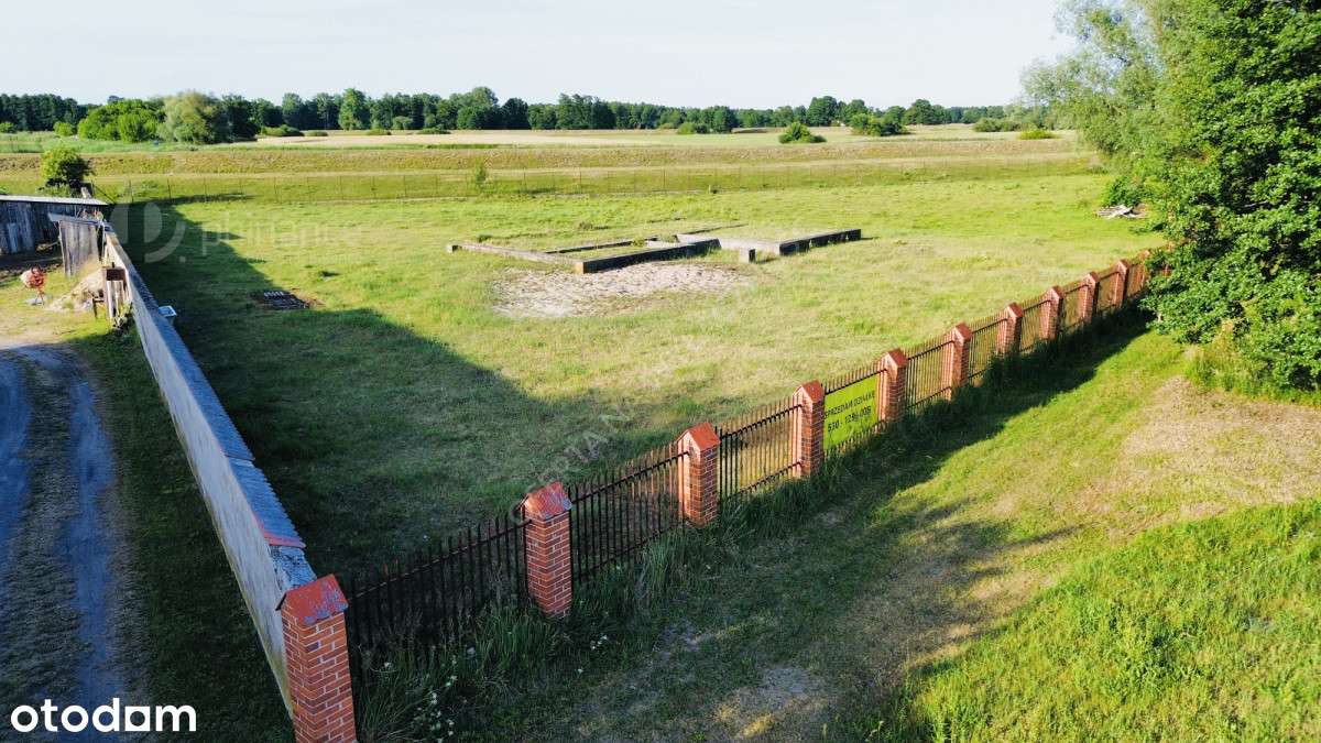 Działka budowlana–41 arów–Piersk, gm. Krzymów - Pełny obrazek: 4/7