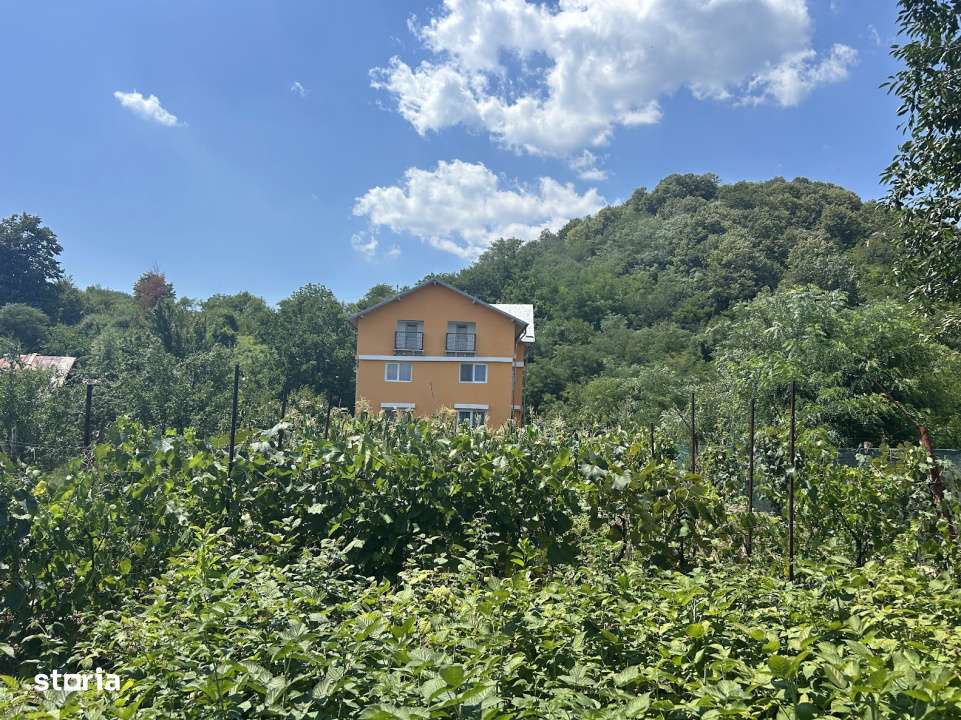 VAND O VILA IN PADUREA DIN FILIPESTI-15