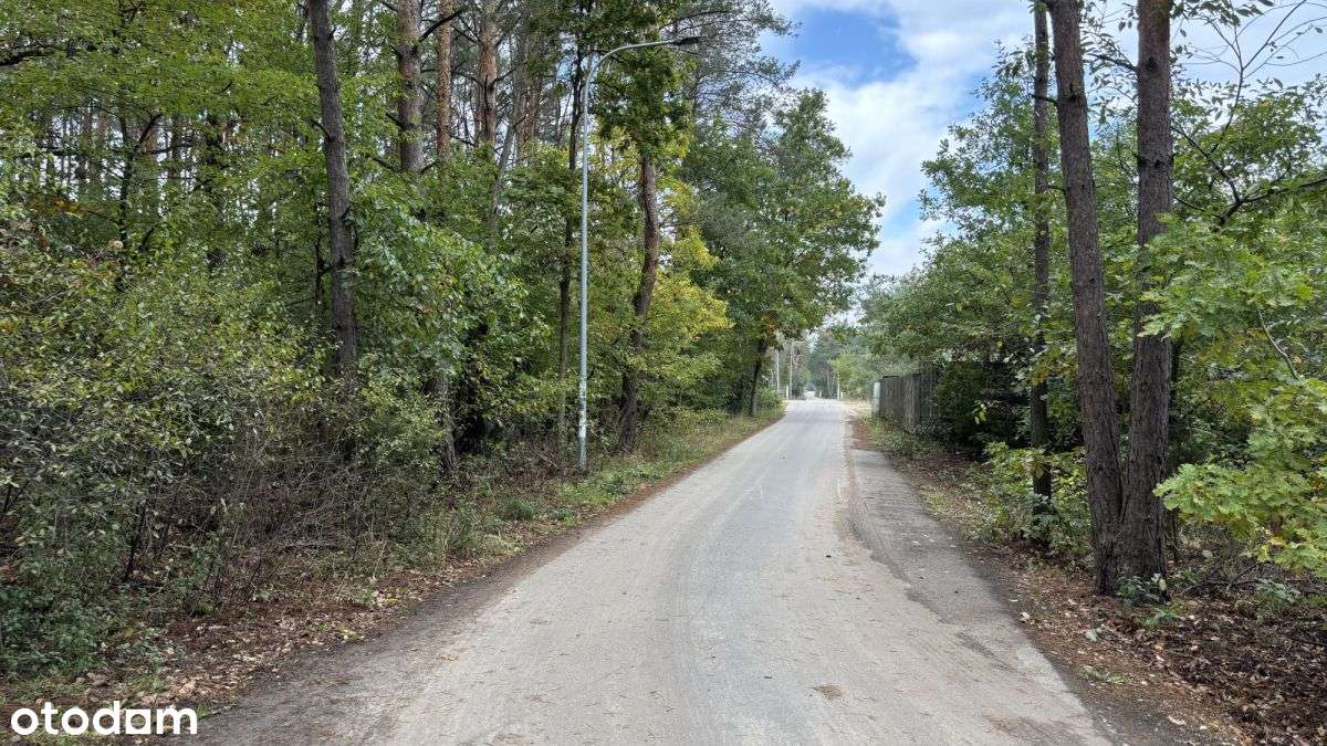 Dziełka z dużym potencjałem Dąbrowa Chotomowska-3