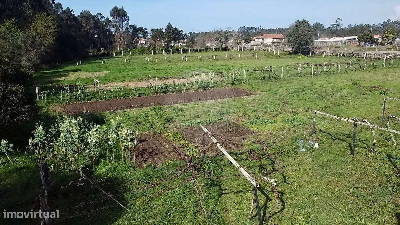 Quinta  para venda - Grande imagem: 5/30