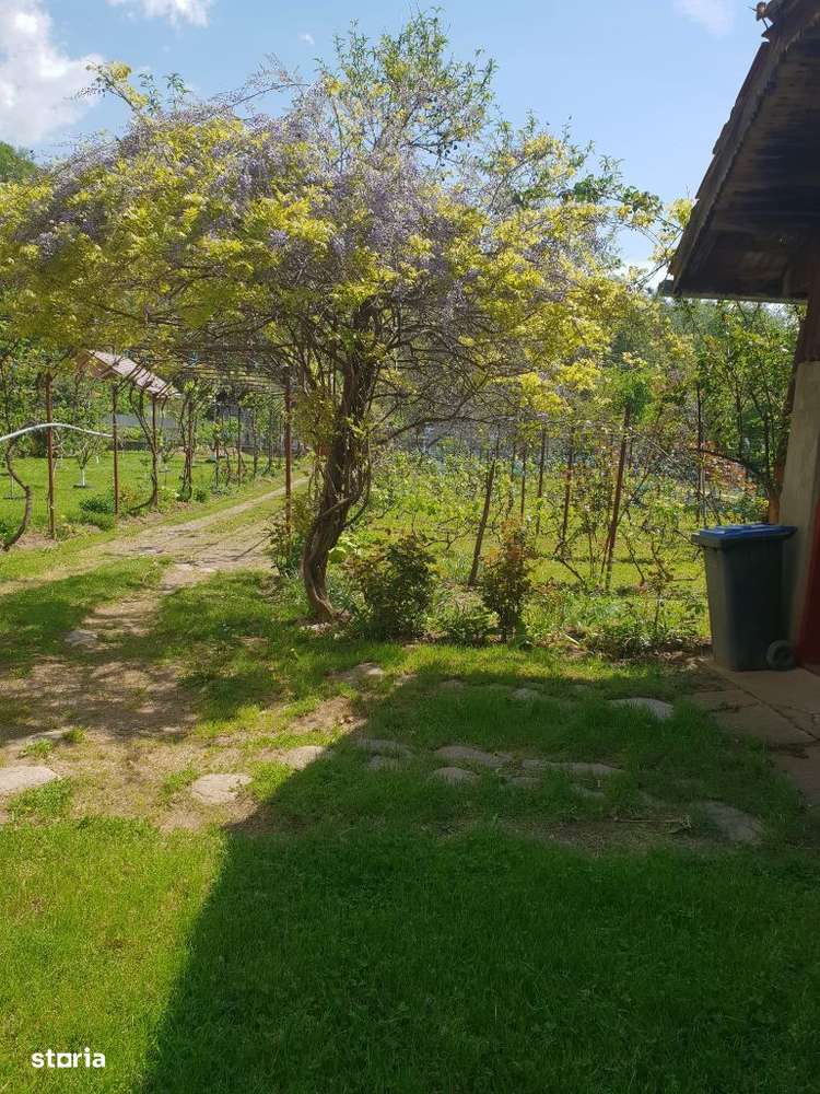 Vila P+E cu teren 2559 mp, vie, garaj, izvor - Borosteni, Gorj - Imagine principală: 5/19