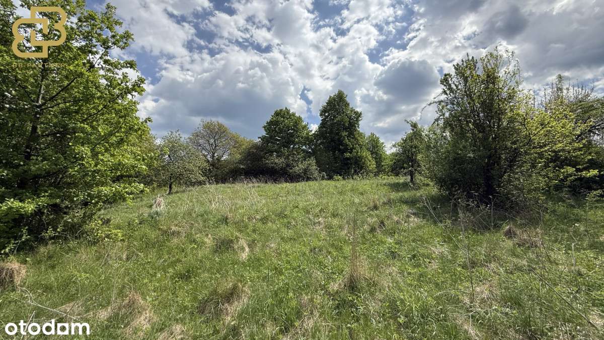 Twoja przestrzeń w naturze – działka 1,78 ha-10