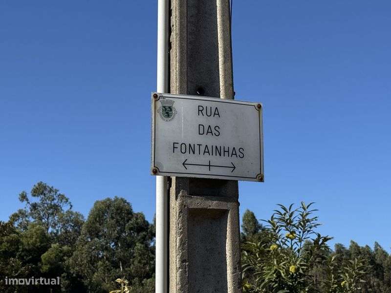 Alugo Terreno 8000m² em Lavra (Matosinhos) – Agricultura ou Animais - Grande imagem: 5/5