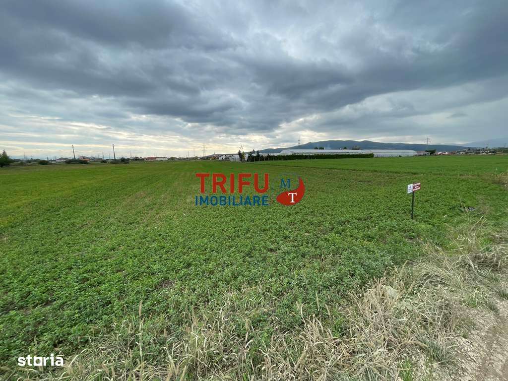 Teren extravilan de vânzare în Bărăbanț - Imagine principală: 4/4