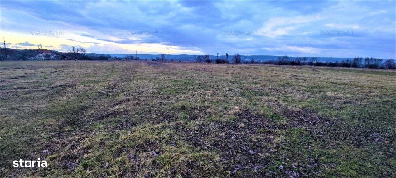 Vanzare teren Mioveni sat Clucereasa-0