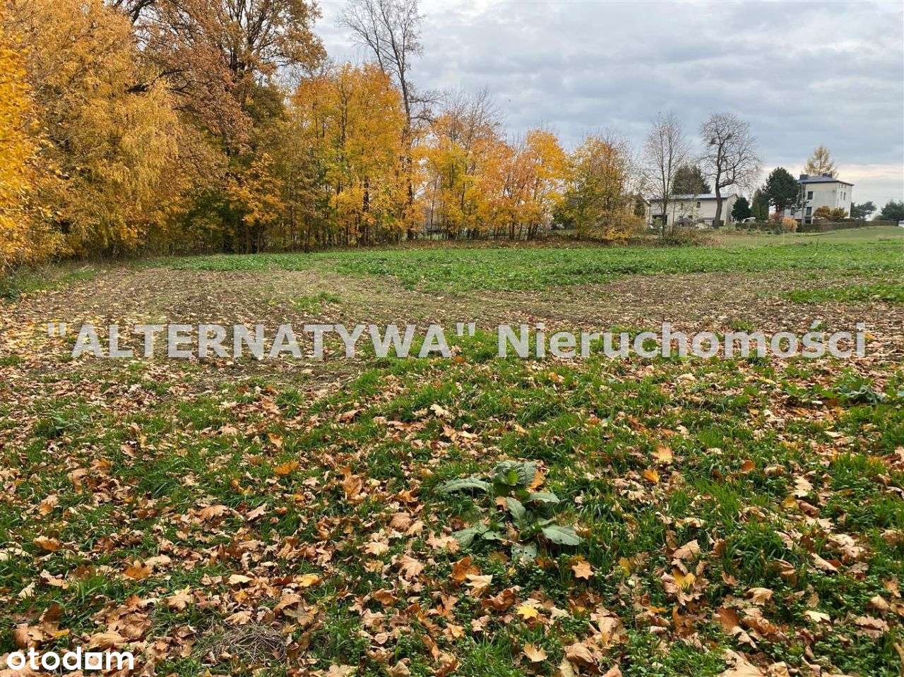 Wyjątkowa działka Mizerów-7