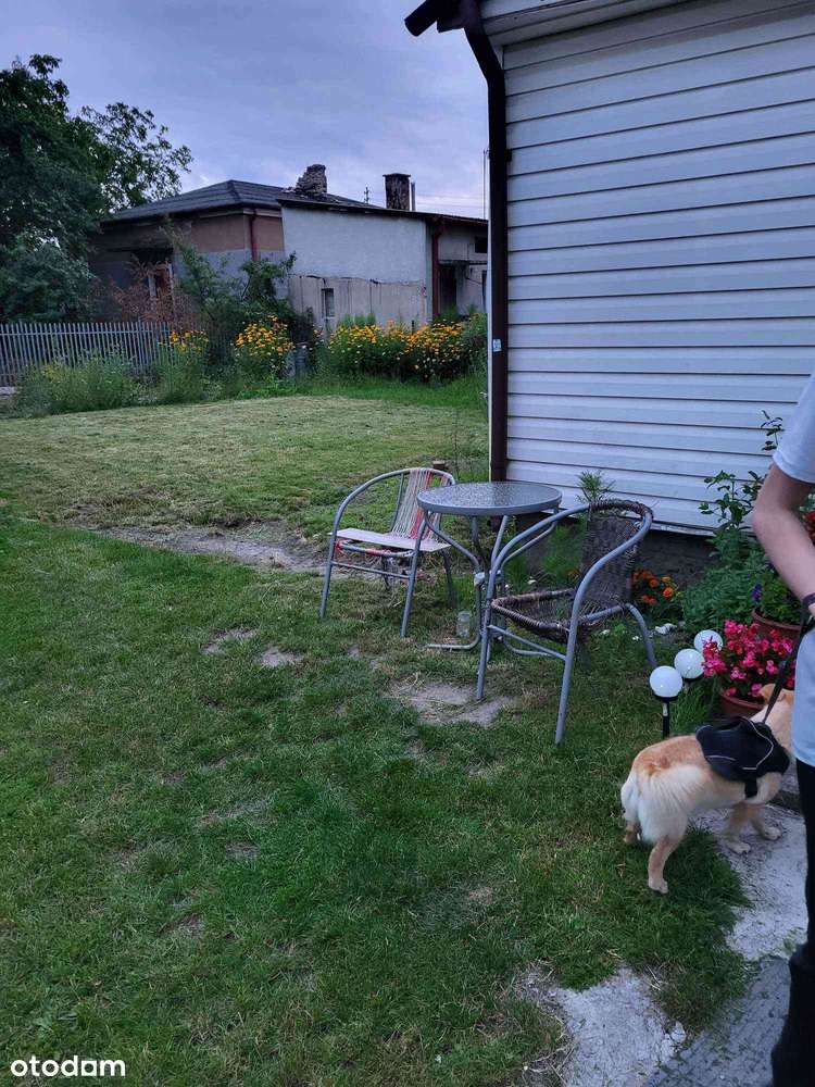 Dom wolnostojący, super lokalizacja - Pełny obrazek: 5/19