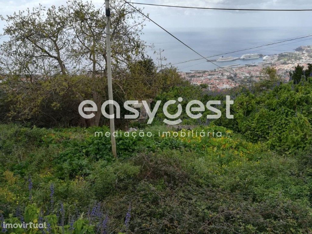 Terreno com vista para a baía do Funchal