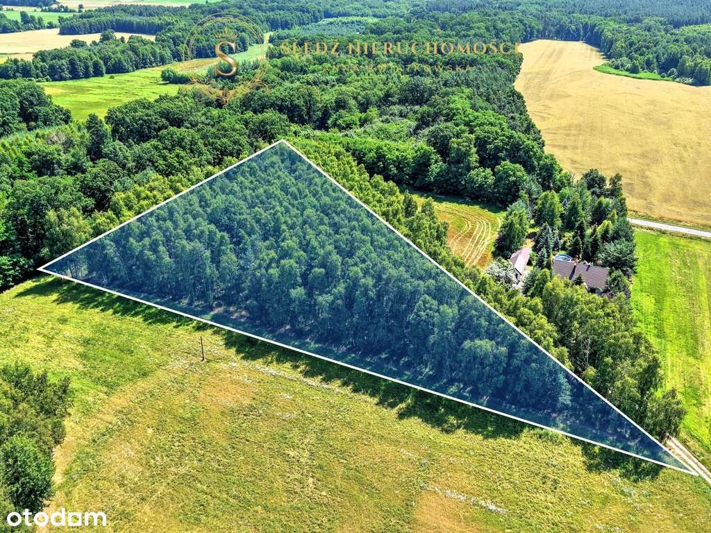 1,2 ha Działka Budowlana 45 min od Wrocławia + Las-4