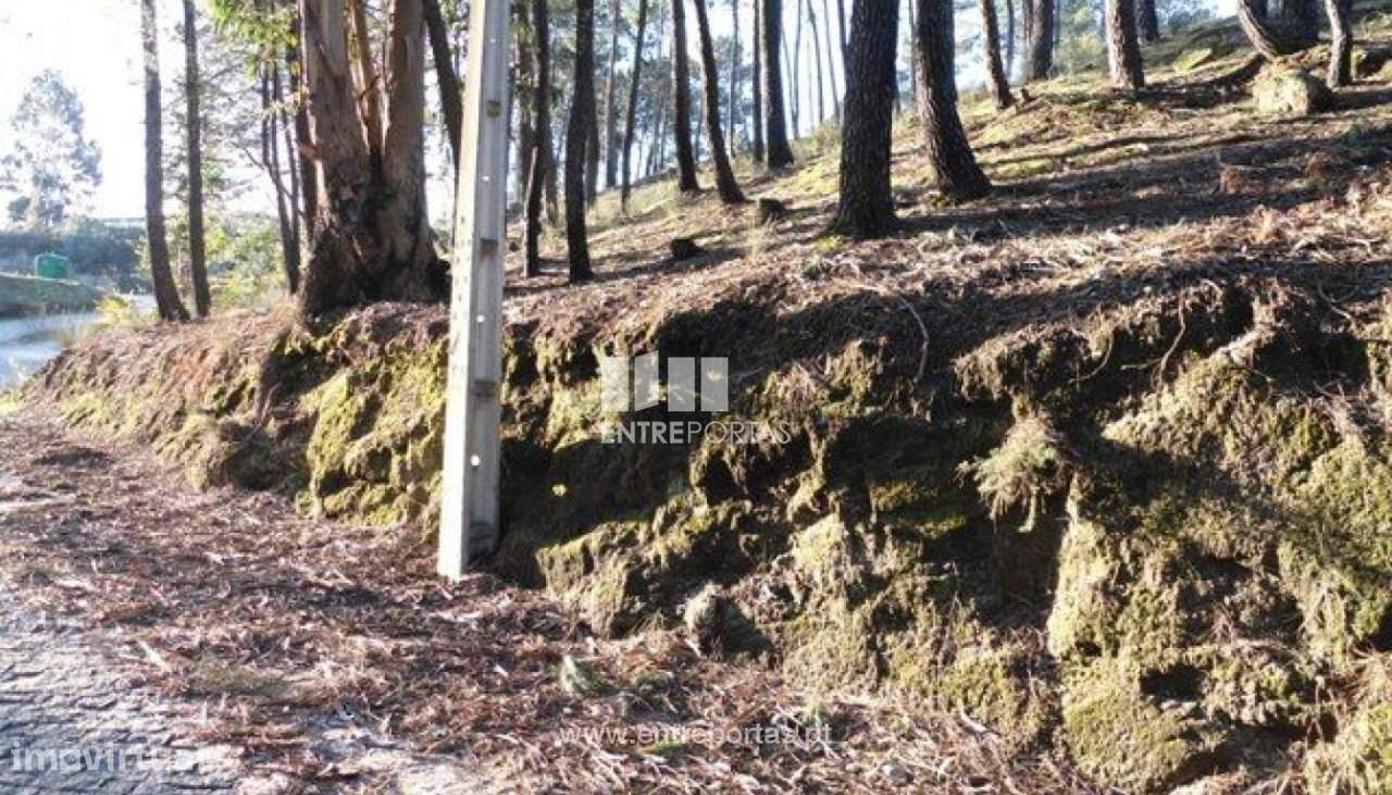 Venda Terreno, Banho e Carvalhosa, Marco de Canaveses - Grande imagem: 5/8